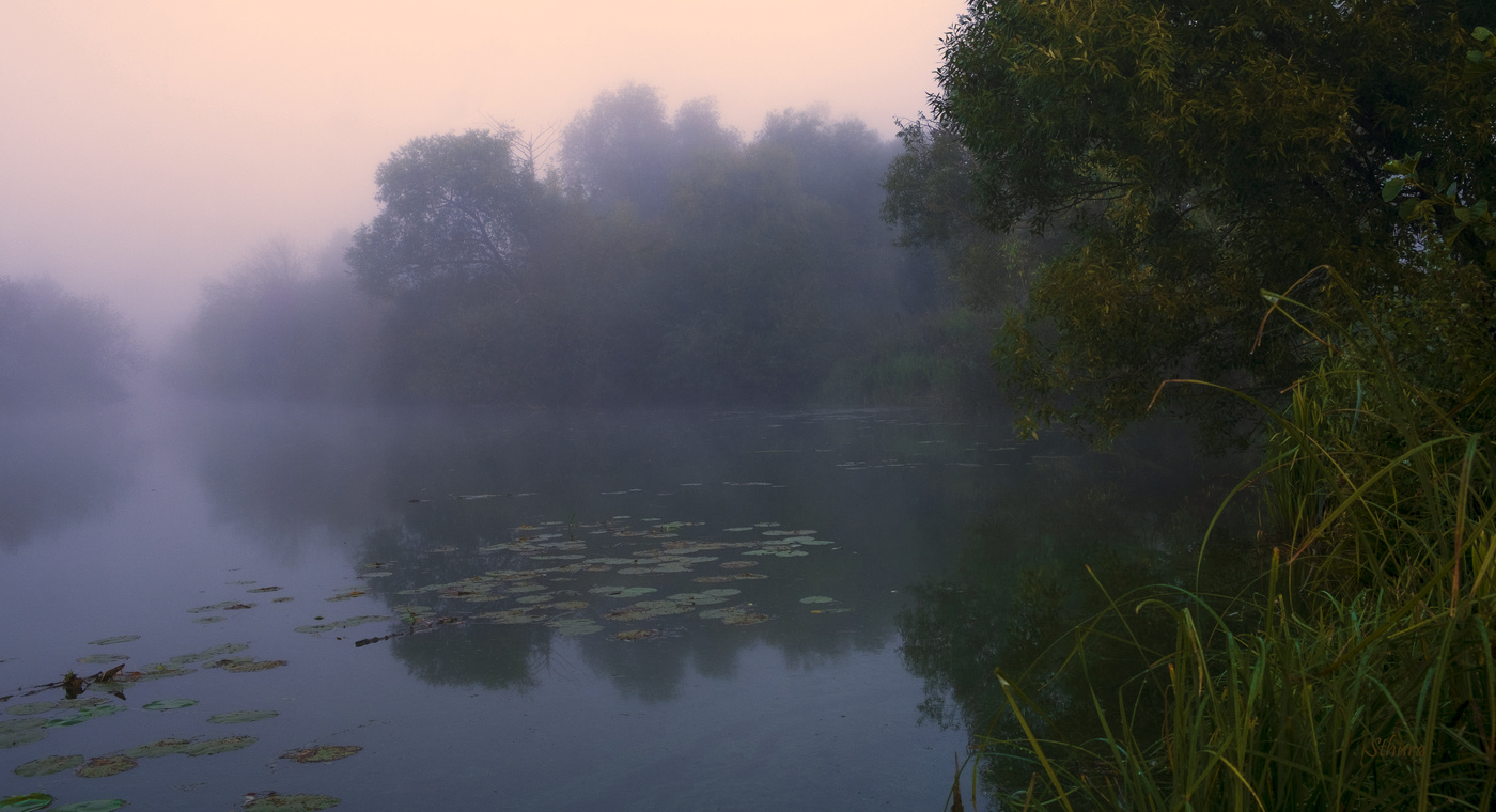Туман на Омуте.