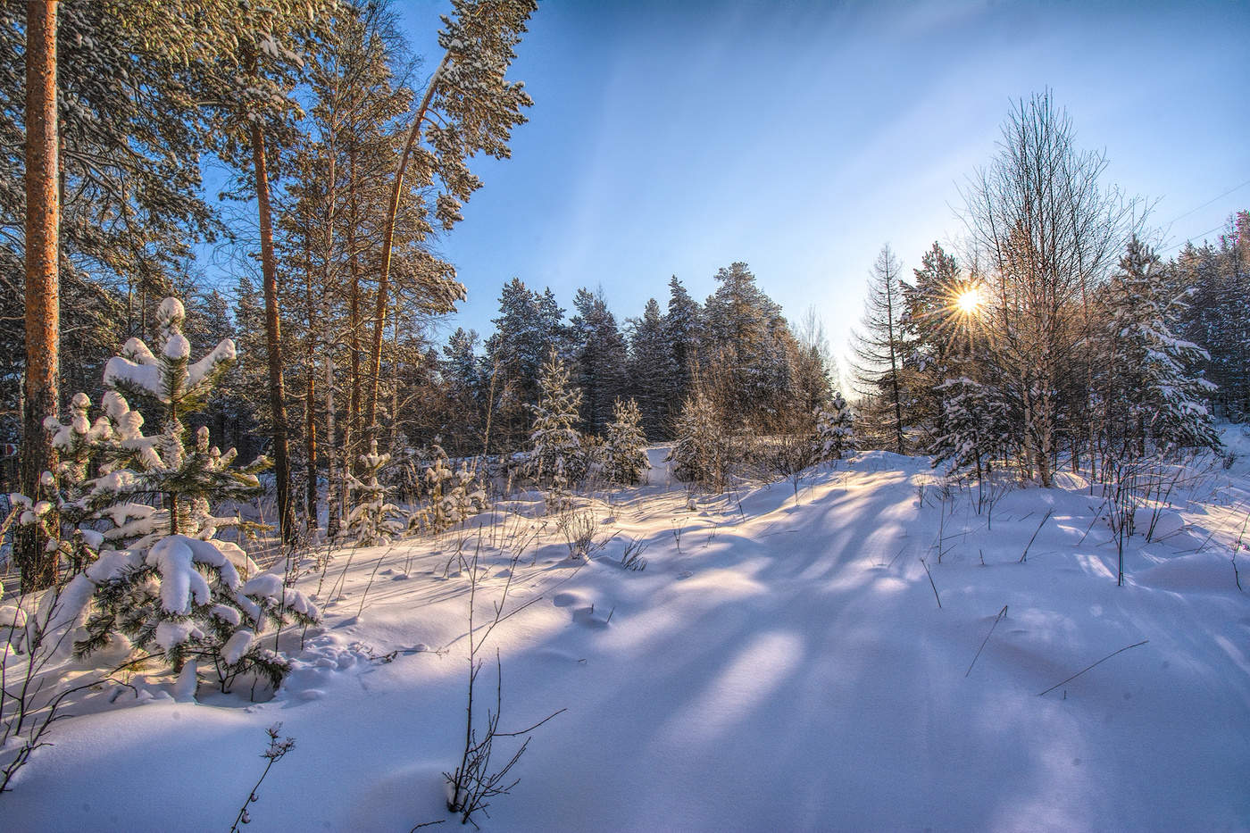 Зимний полдень