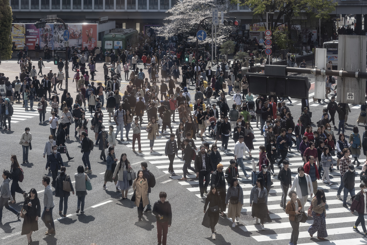 Пешеходы, переходы