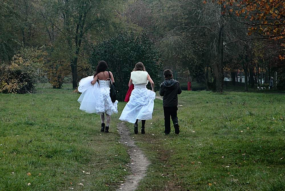 Пешеходы, переходы