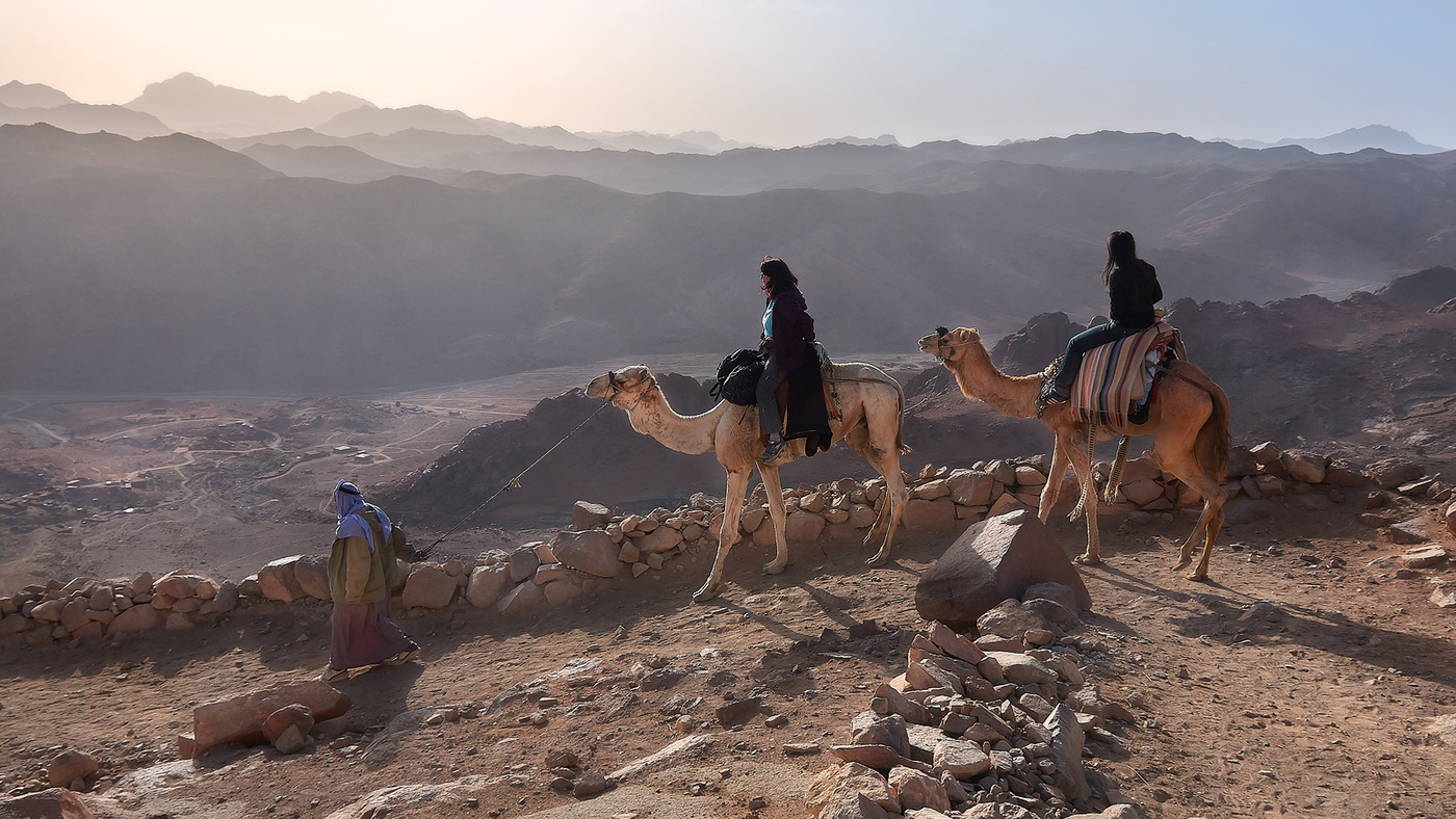 Пешеходы, переходы