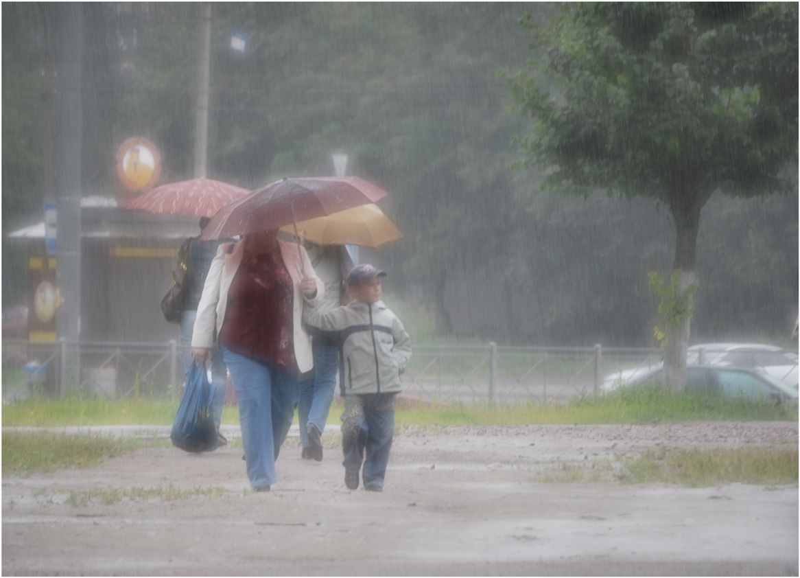 Пешеходы, переходы