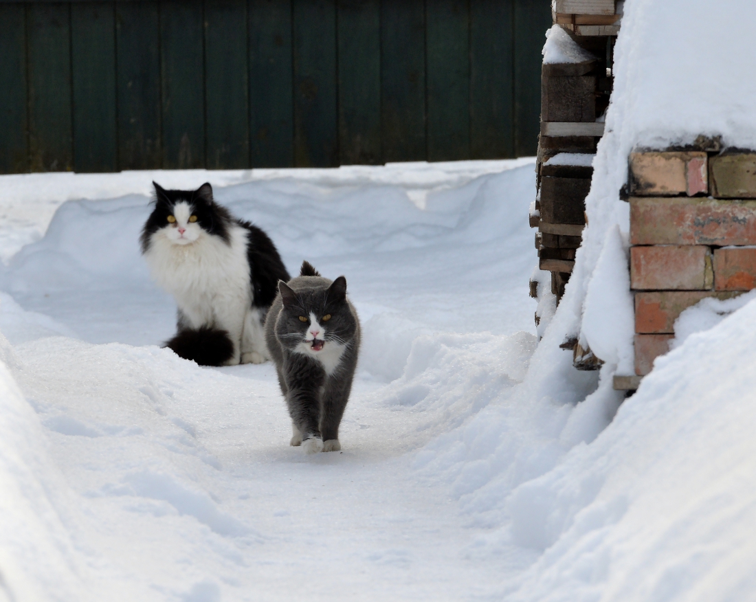 Сделал дело,гуляй смело...