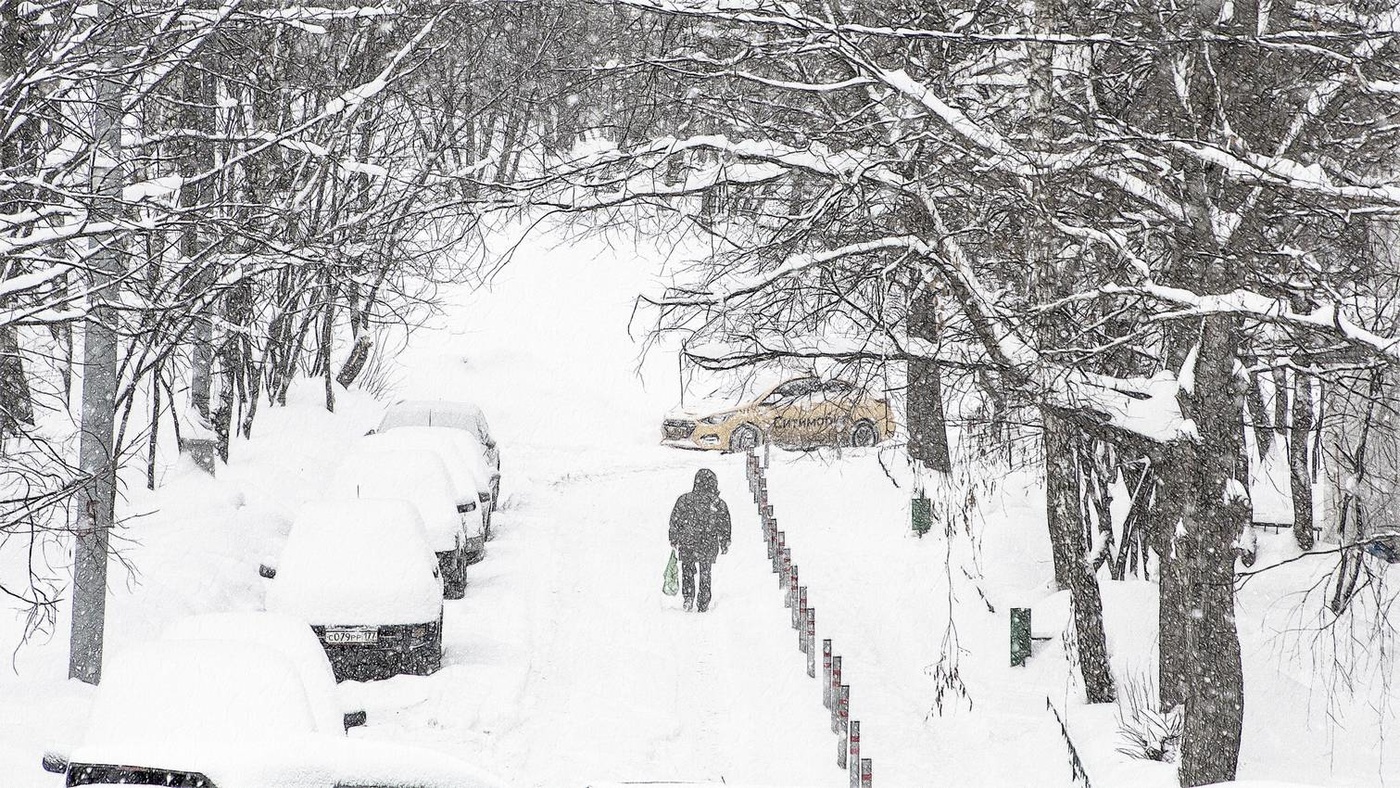 Пешеходы, переходы