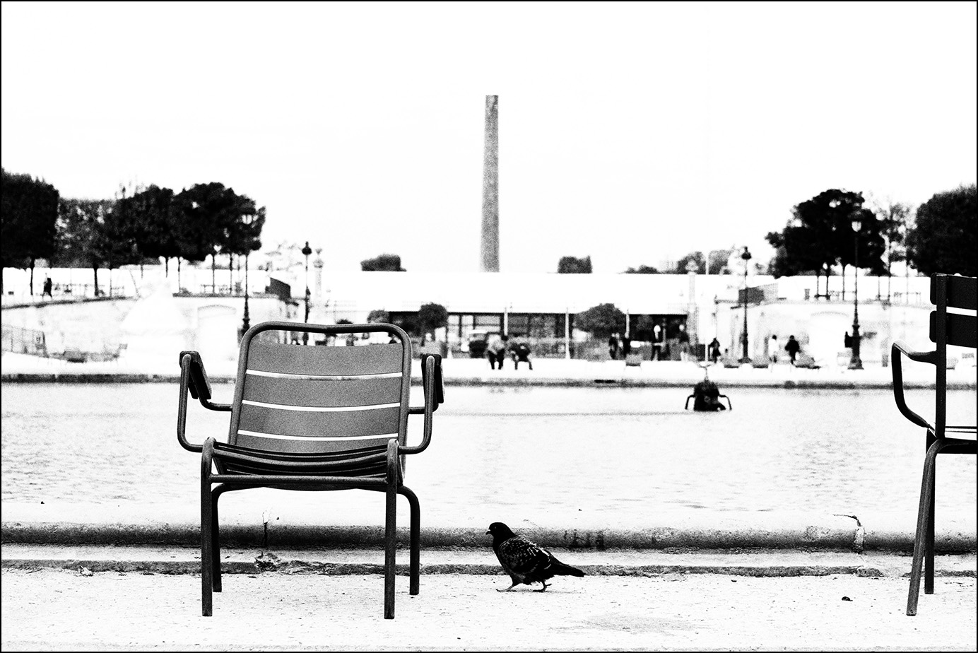 Пешеходы, переходы