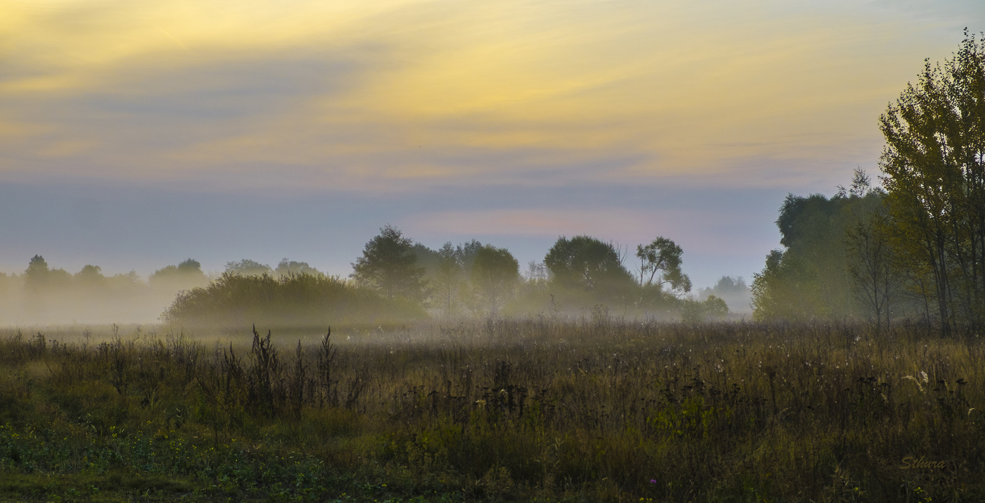 Утренний туман.