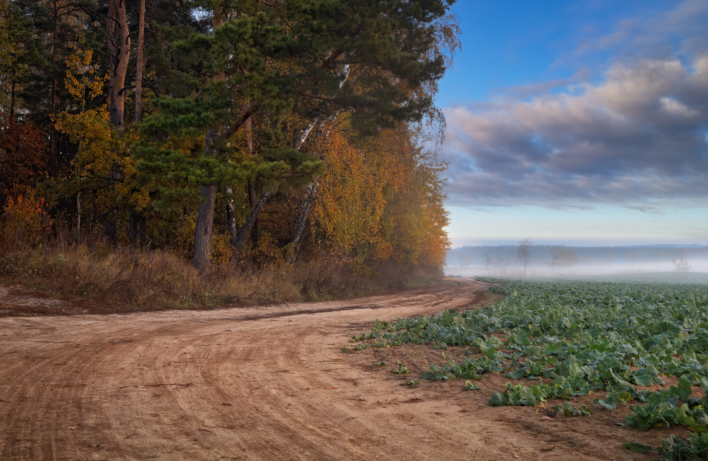 Утро осеннее