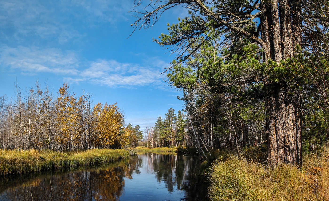 Осенний день... прозрачный, тёплый...