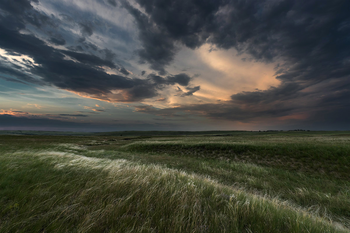 Степь да степь кругом...