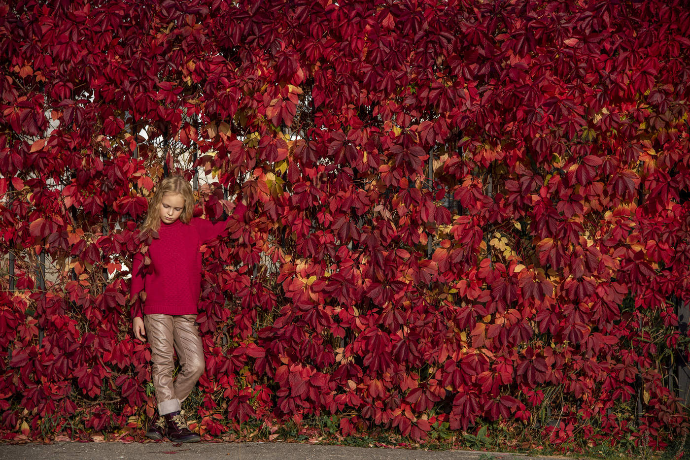 Красная стена