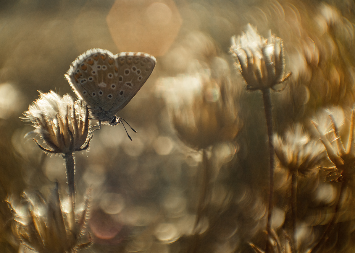 Когда заканчивается лето
