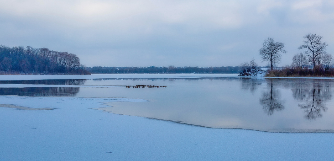 Оставшиеся на зимовку.