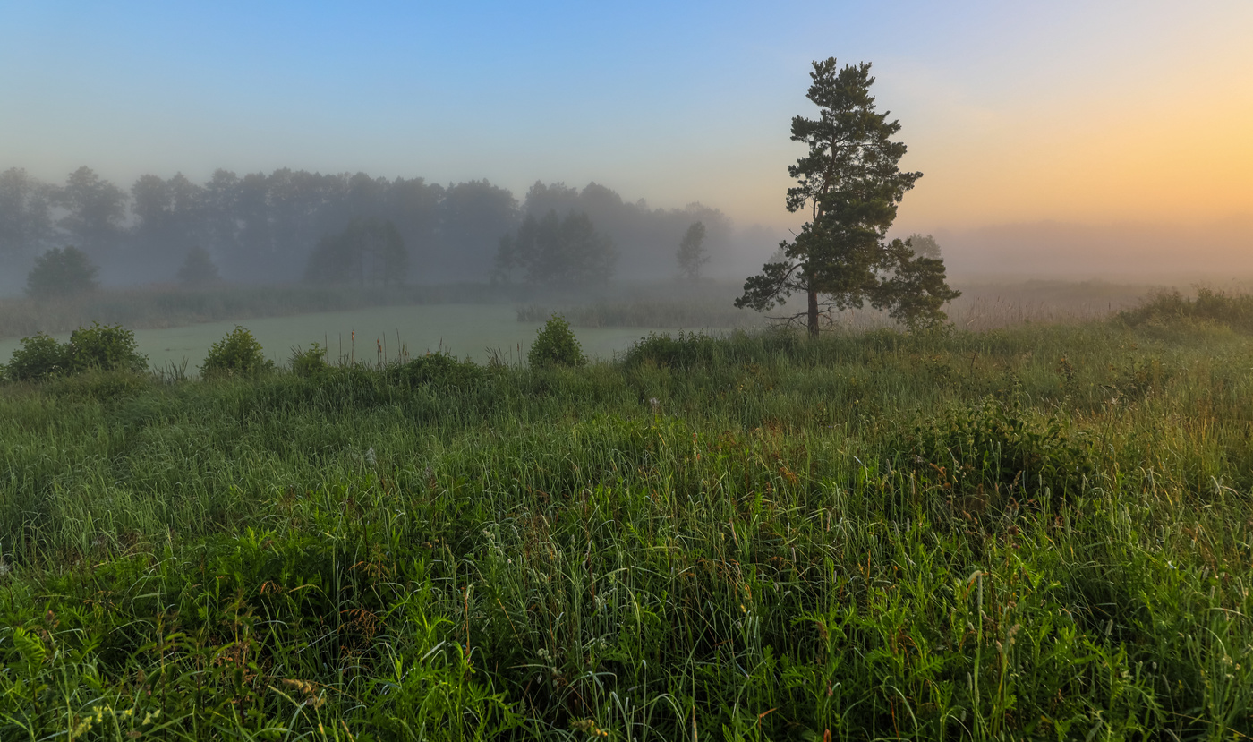На рассвете