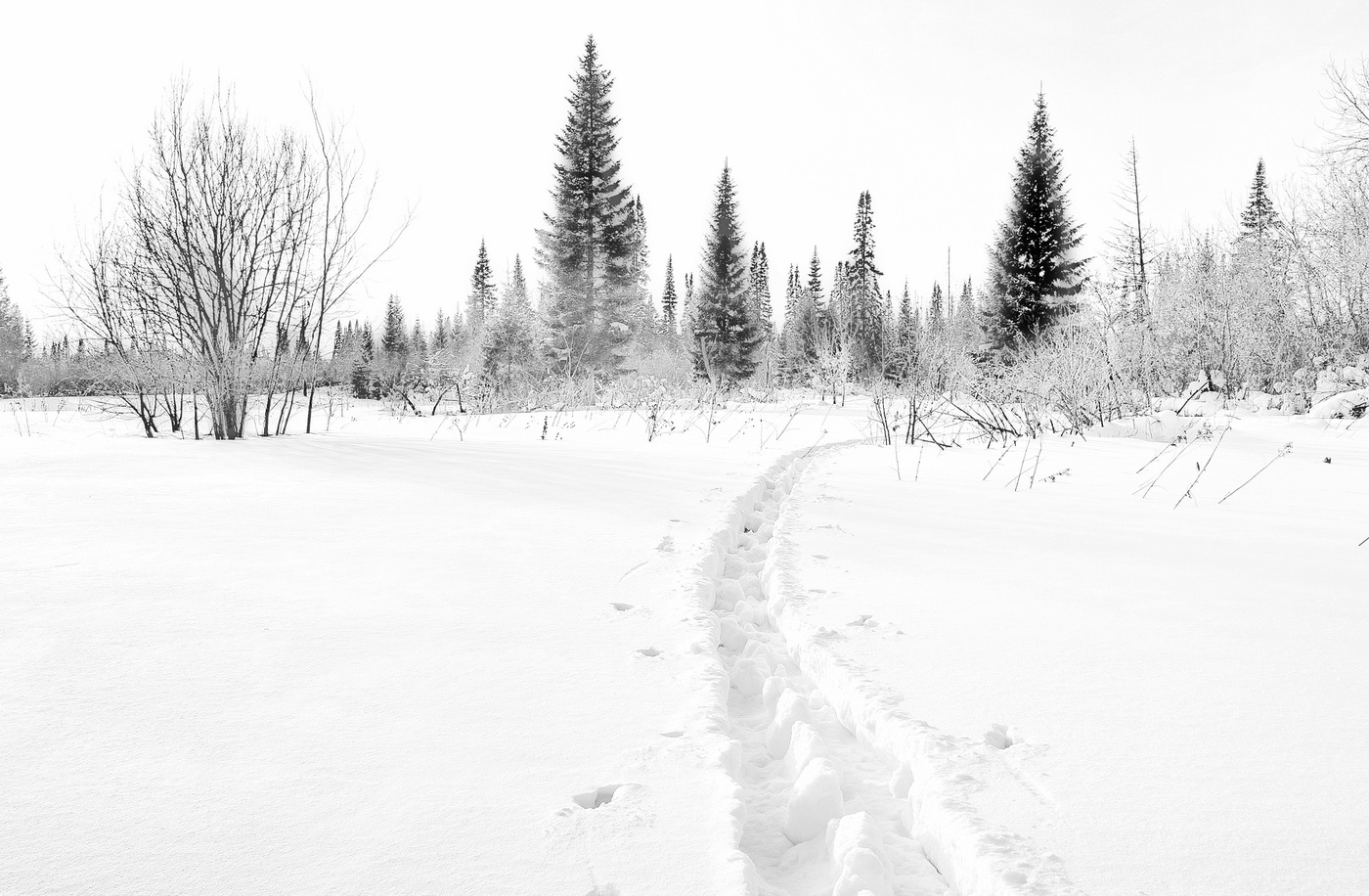 *Морозным днём.**