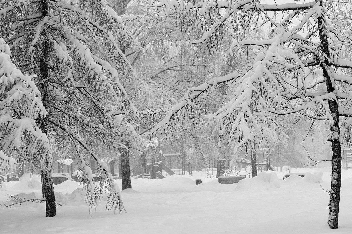Зимний пейзаж.