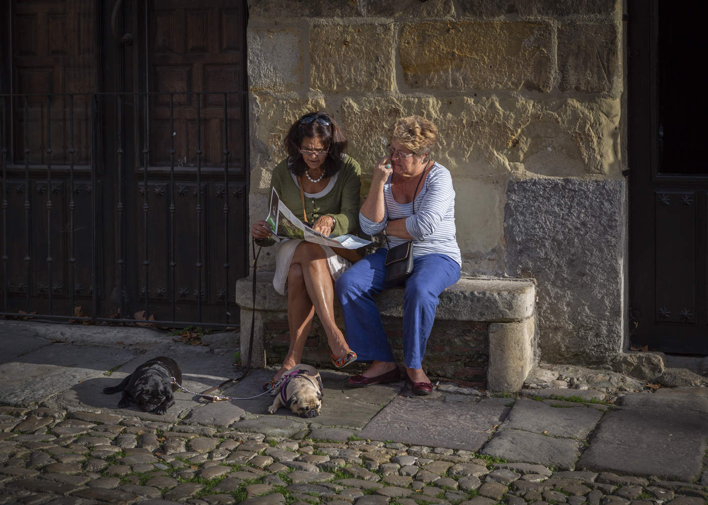 Дама с собачками