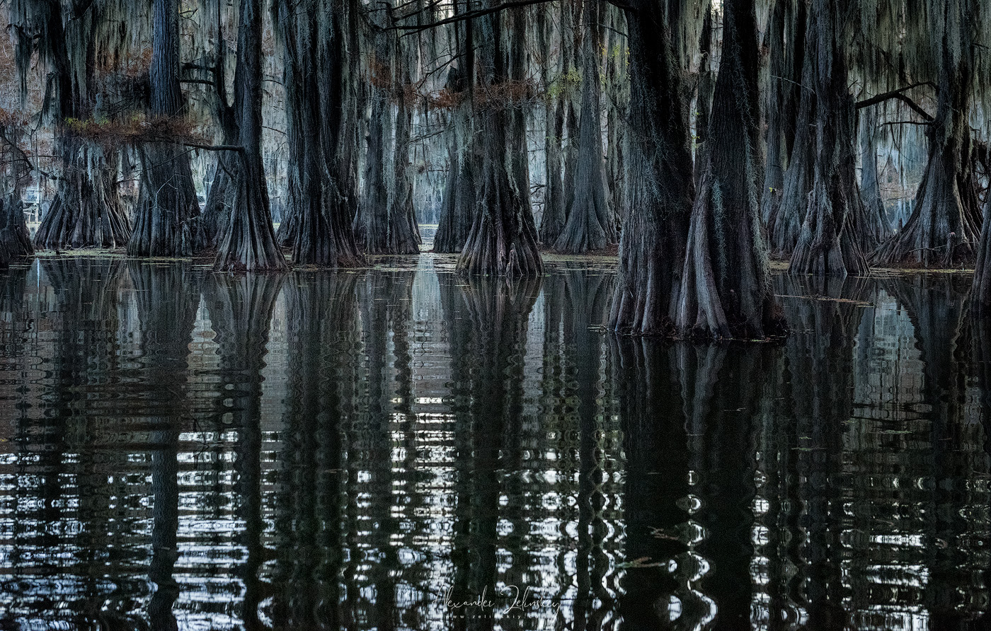 На озере Кэддо