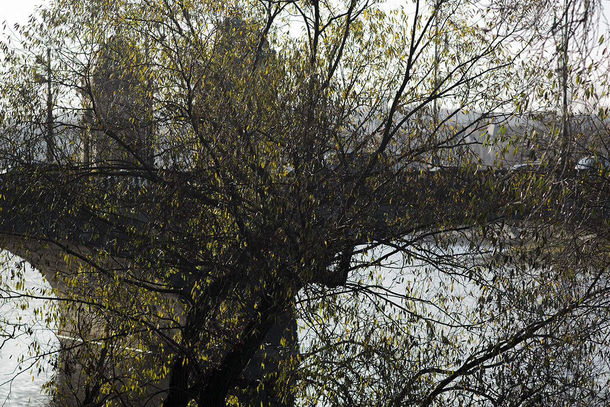 Поздняя осень