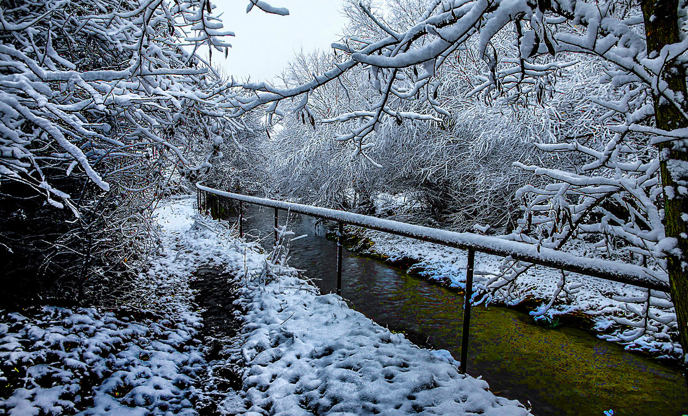 Зимняя стерильность