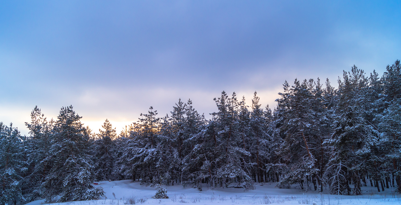 Синий вечер