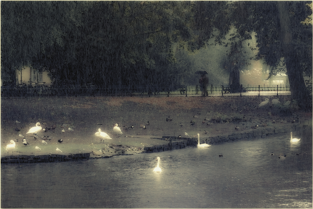 Дождь в Брюгге