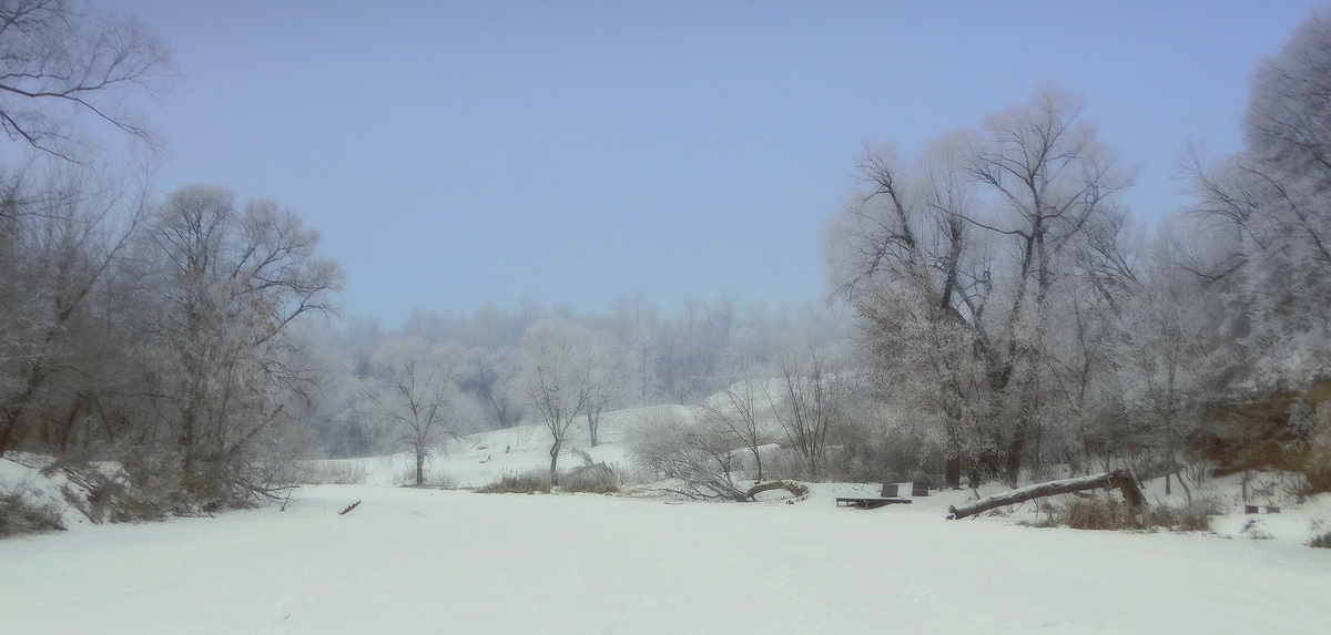 Крещенский мороз, туман и иней