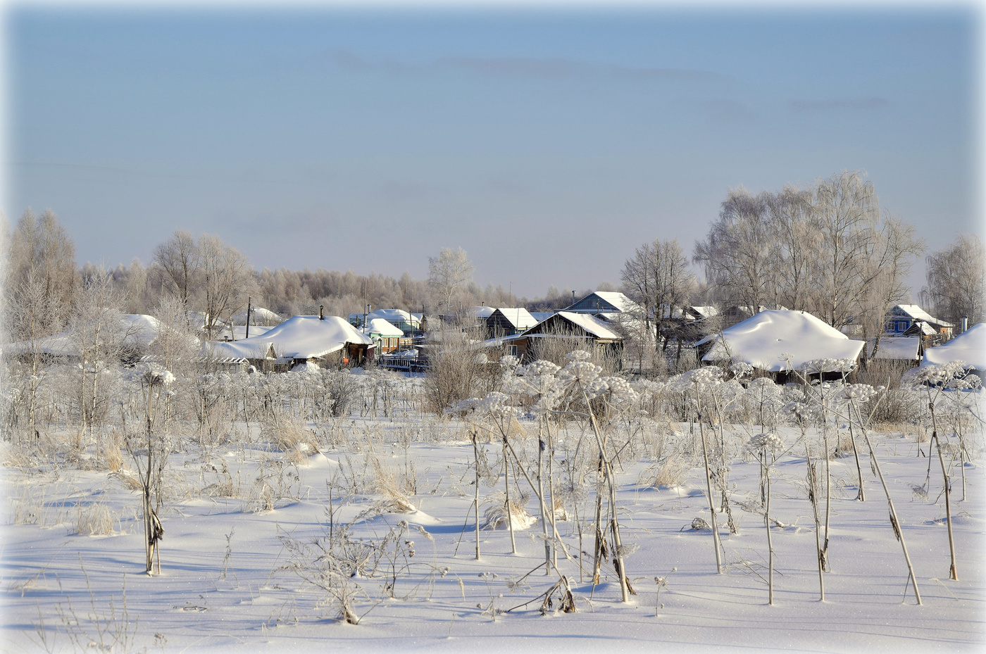 На белом,белом покрывале января...