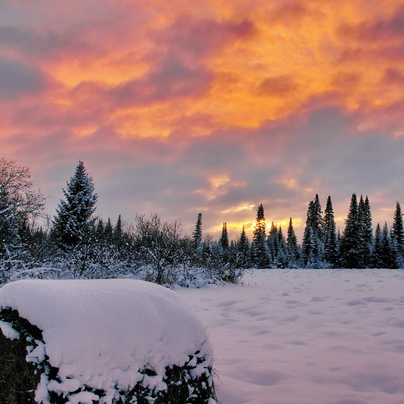 Вечерняя заря.