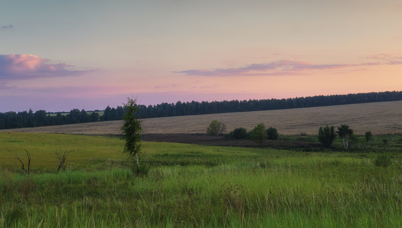 Последние дни лета