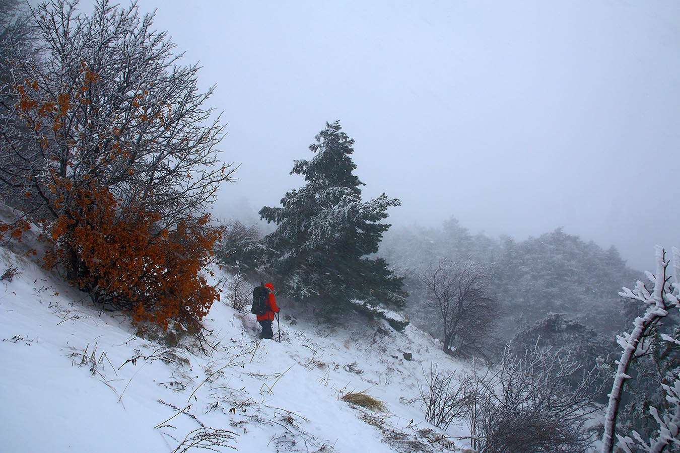 Красная курточка