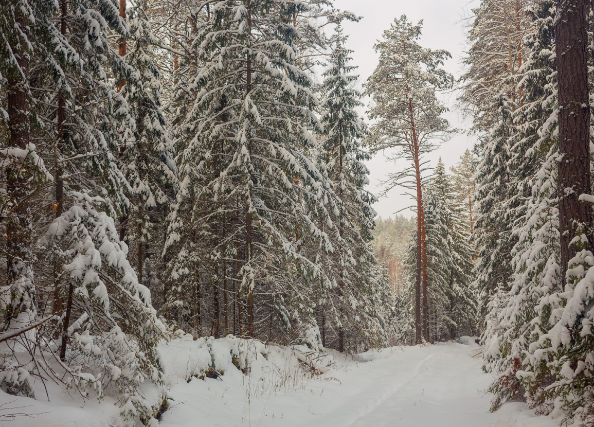 Близ Крестниково