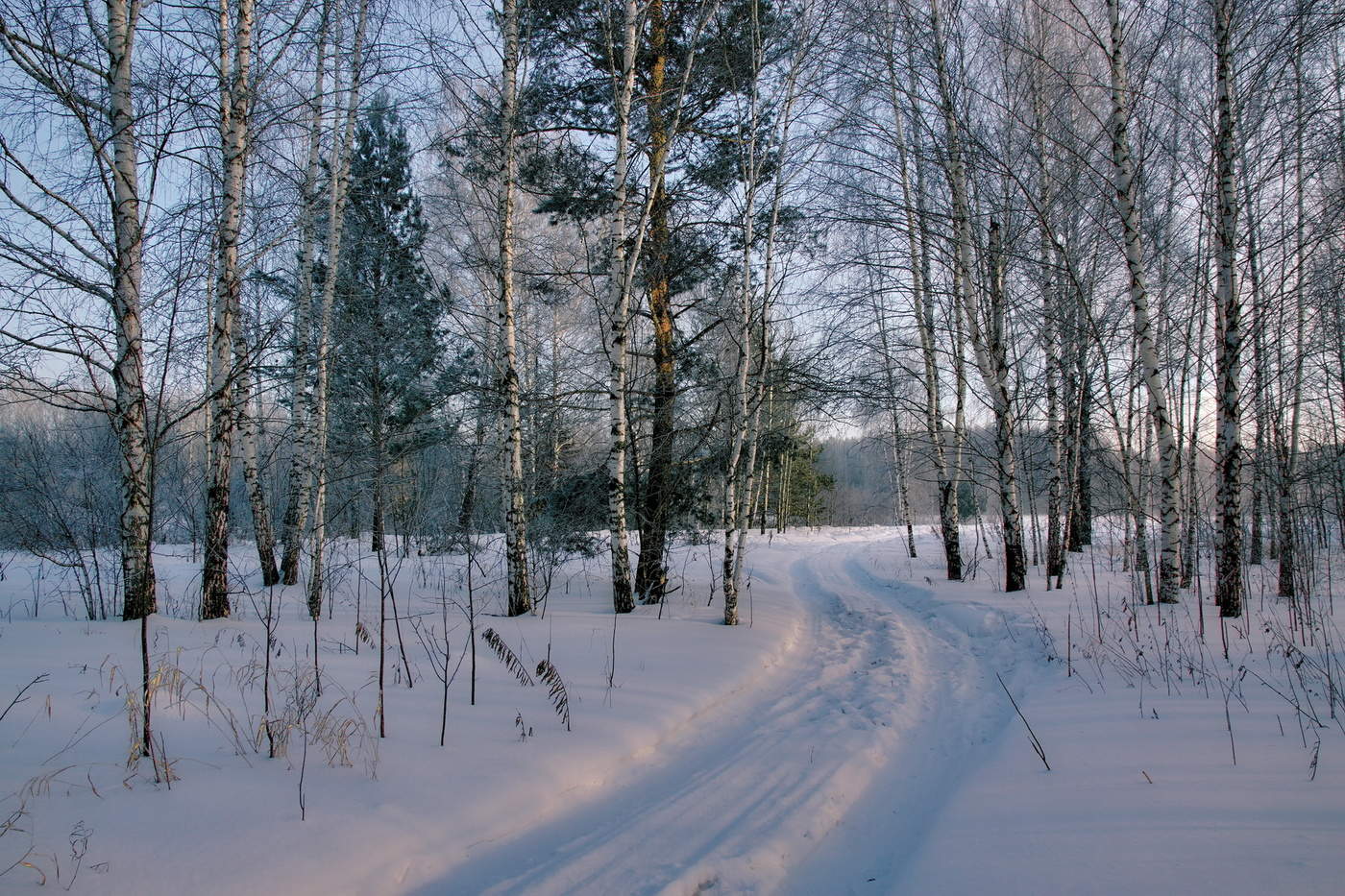 Морозным днём.