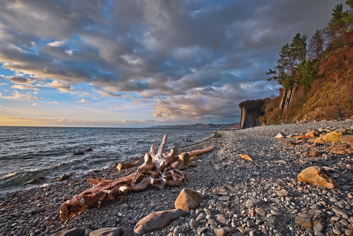 Розовая коряга или вечер на берегу.
