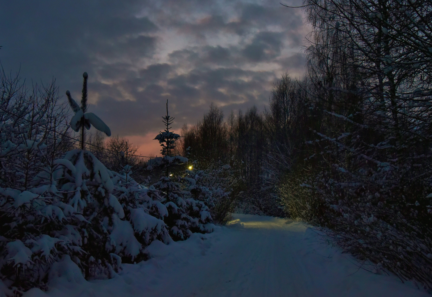 "Мороза поцелуй в доверчивые губы ..."