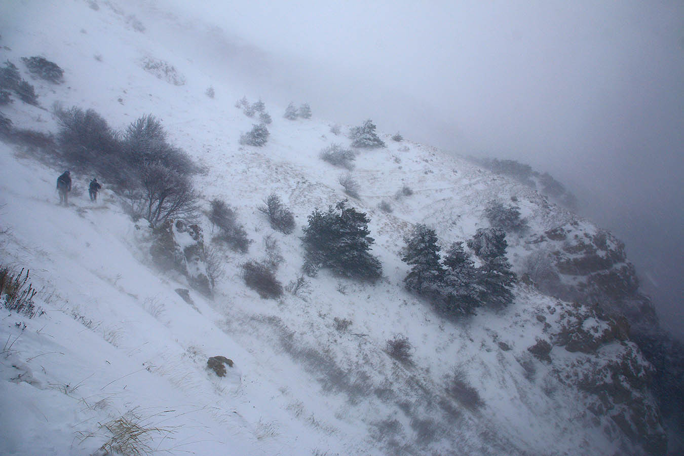 На склонах Северного Демерджи
