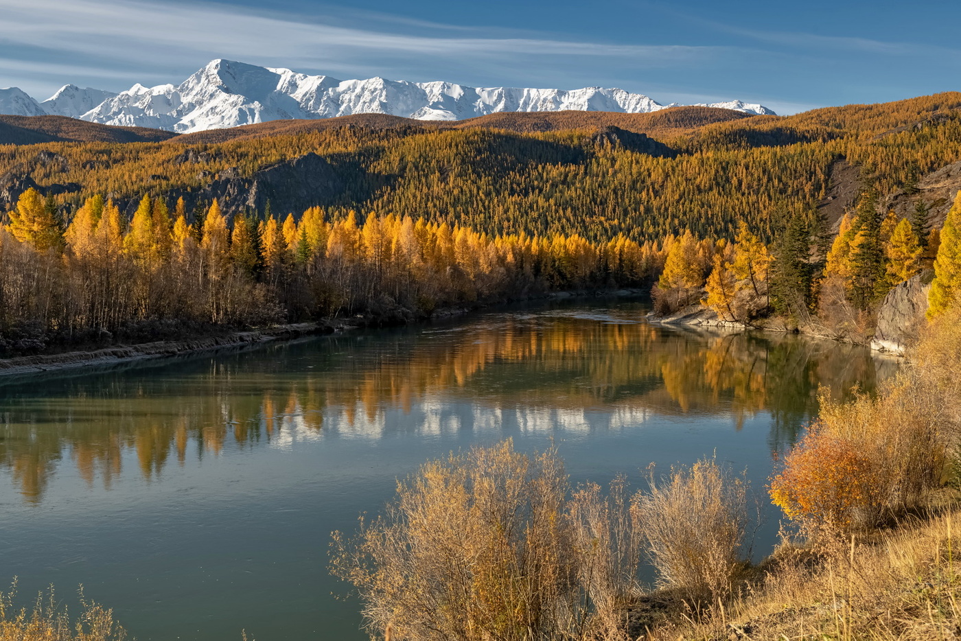 Красавица Чуя.