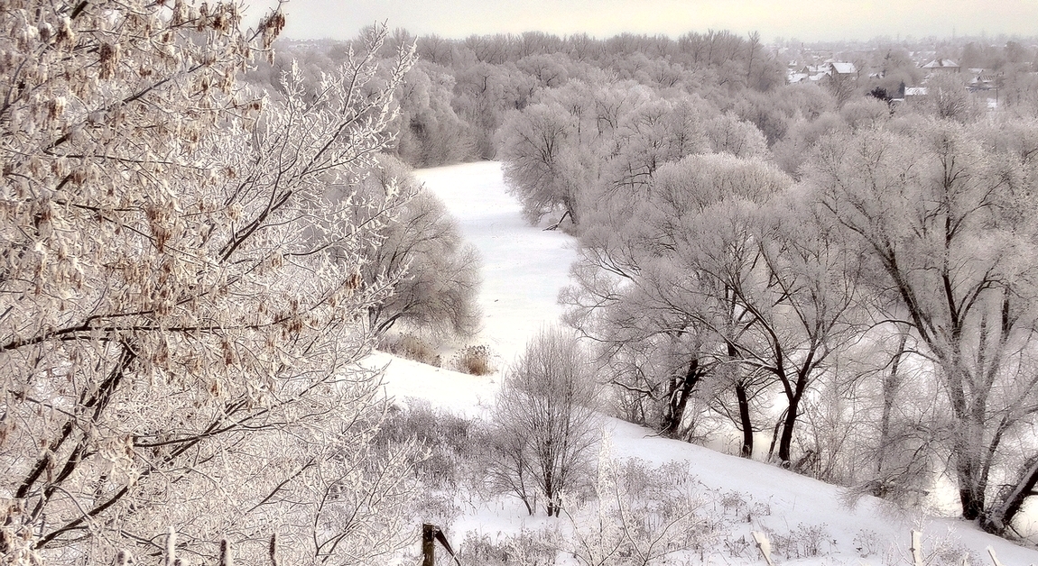 Зима засеребрила сединой природу