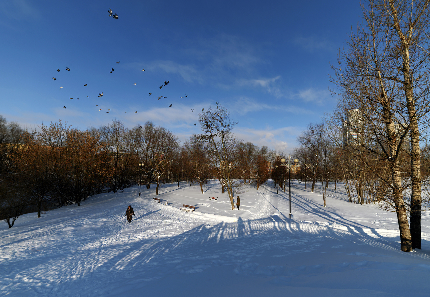 Мороз и солнце...