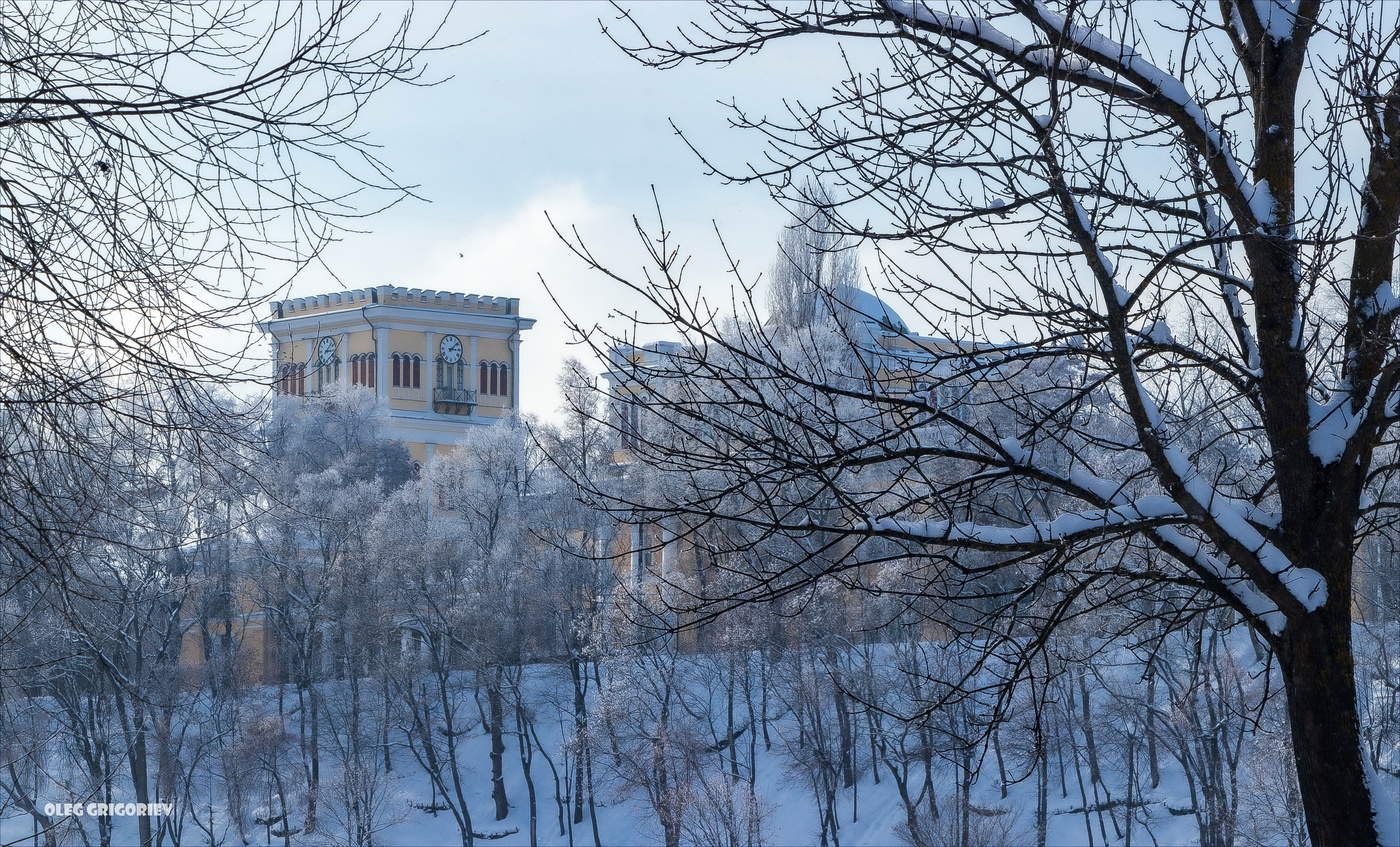 В зимнем парке.