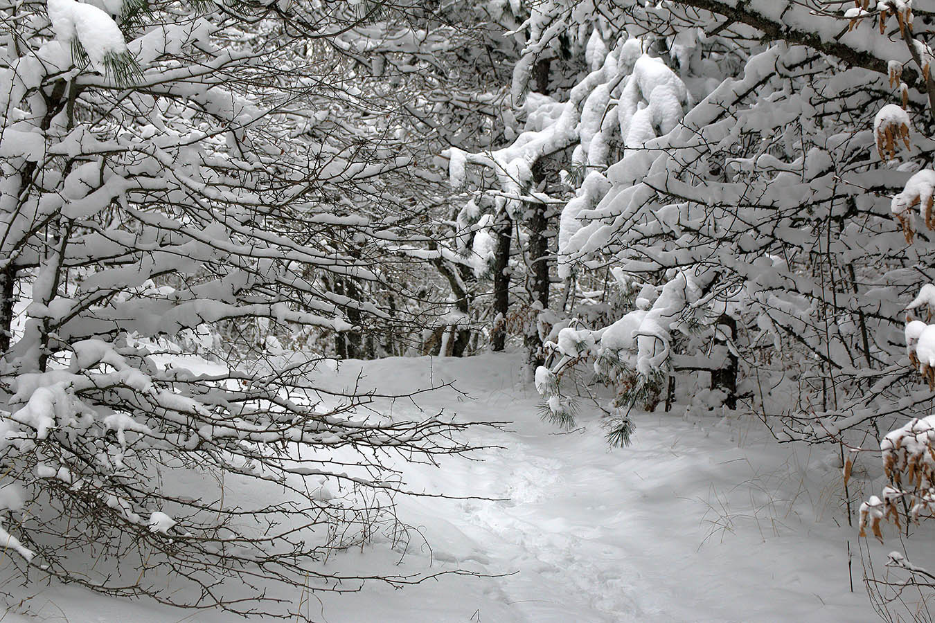 Зима на Ангарском перевале