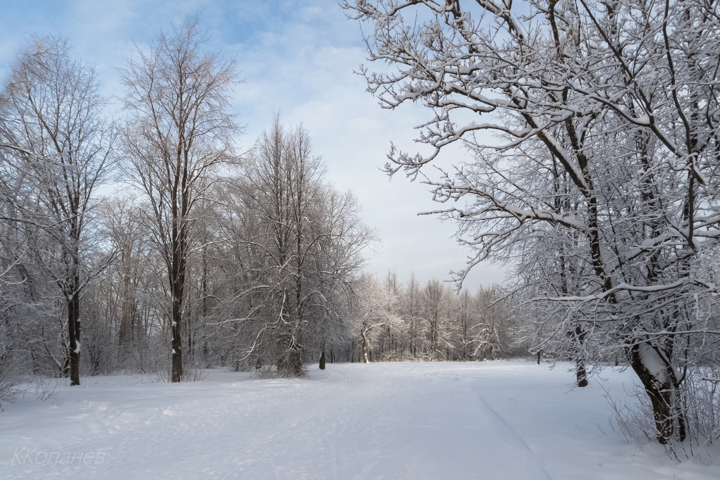 На прогулке