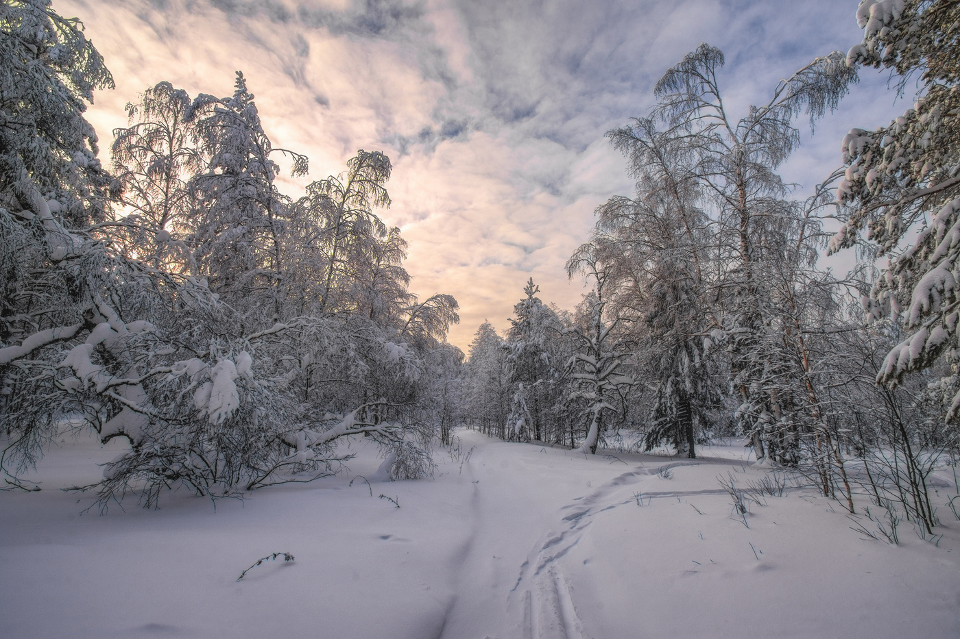 Все тропинки снежком запорошены
