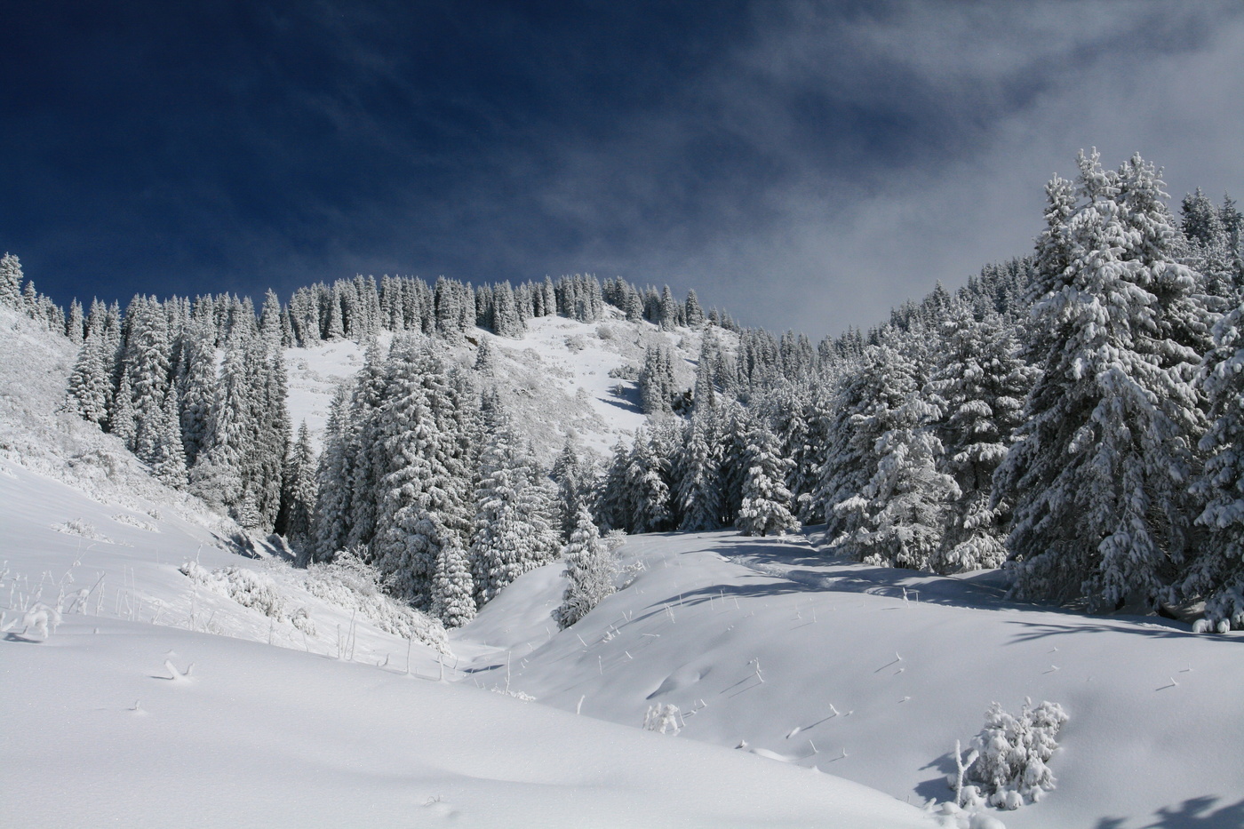 В горах Алматы