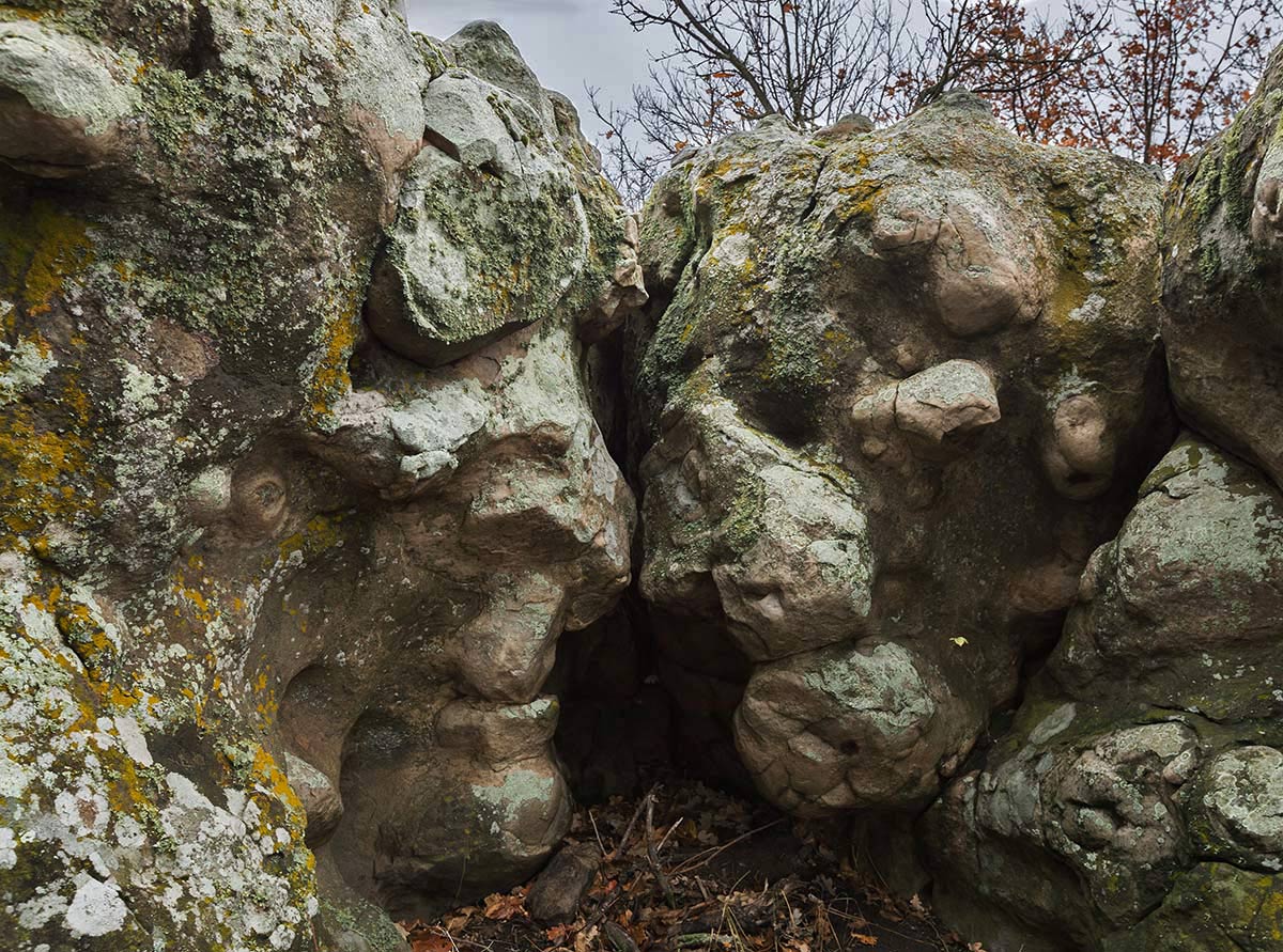 Битва взглядов