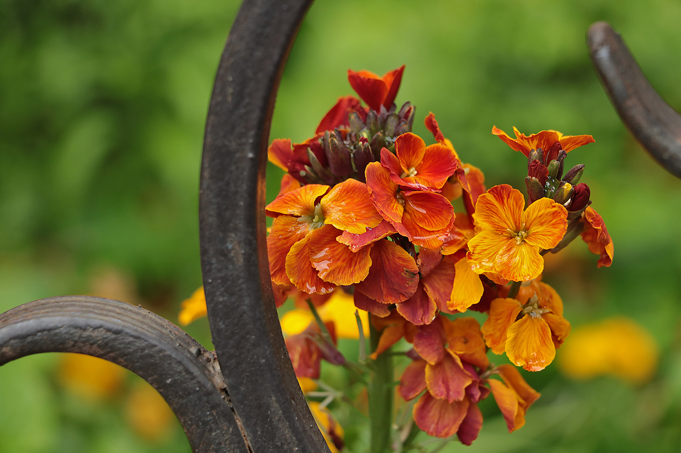 Когда-то было лето...