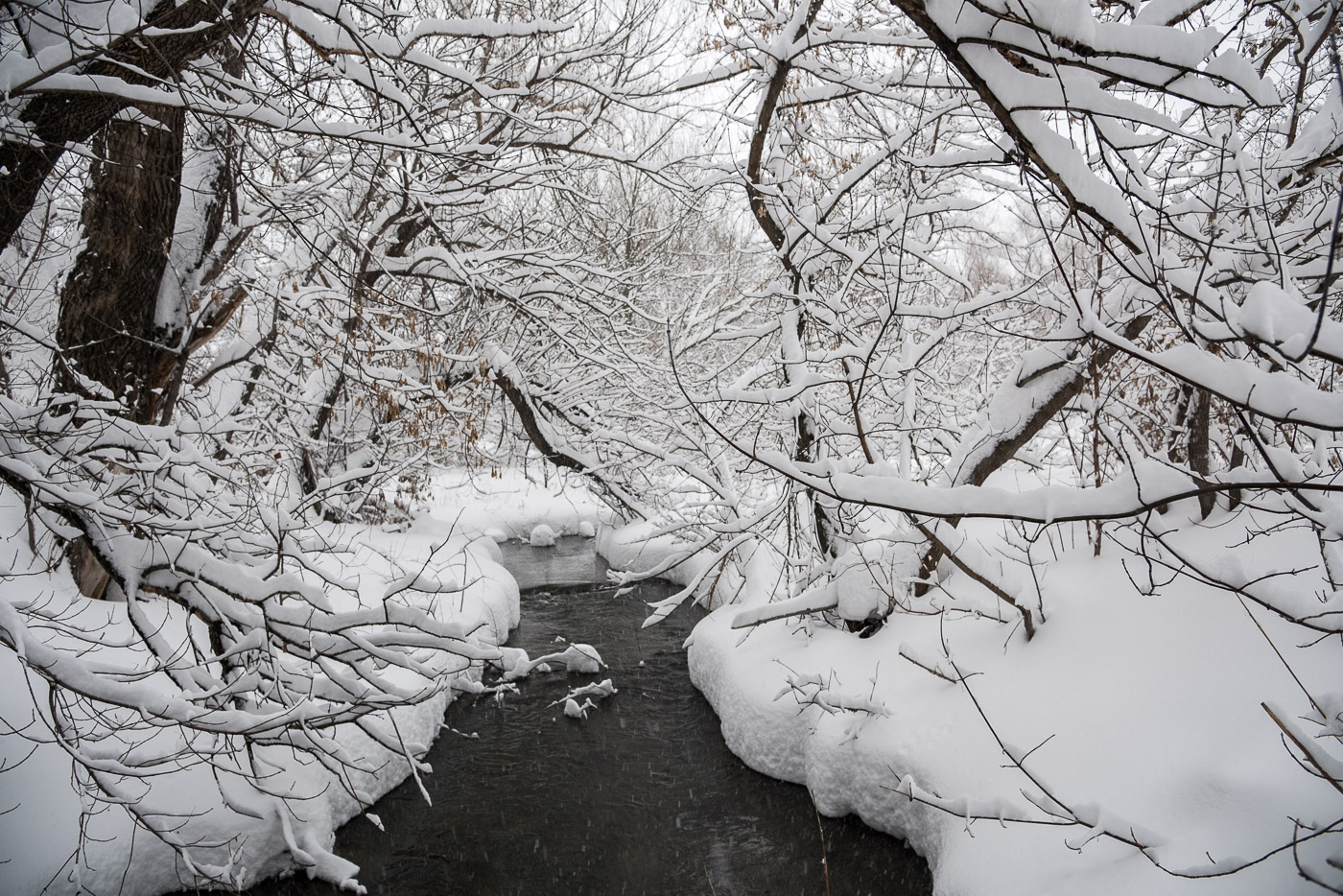 Снежный тоннель