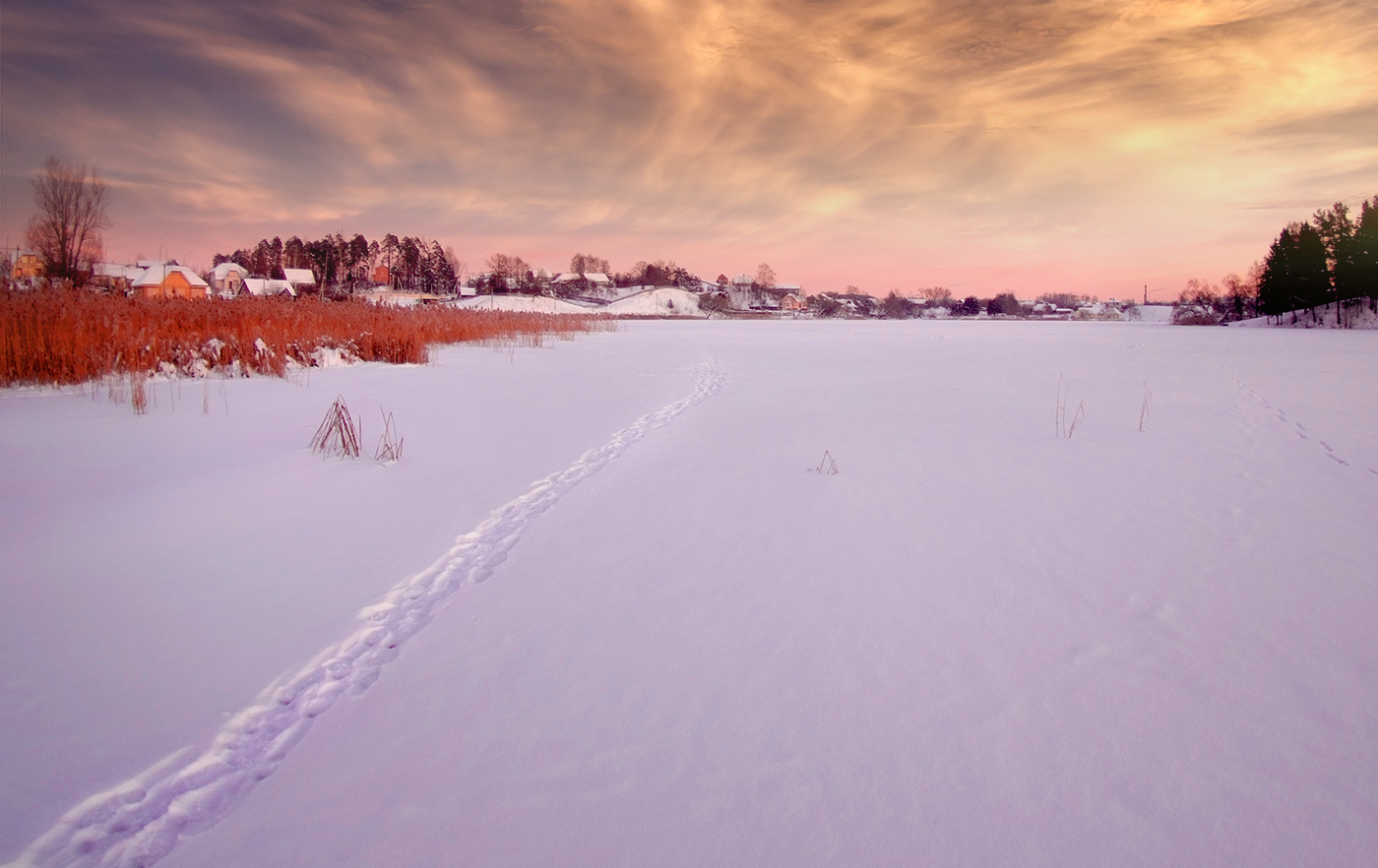 Следы к дому