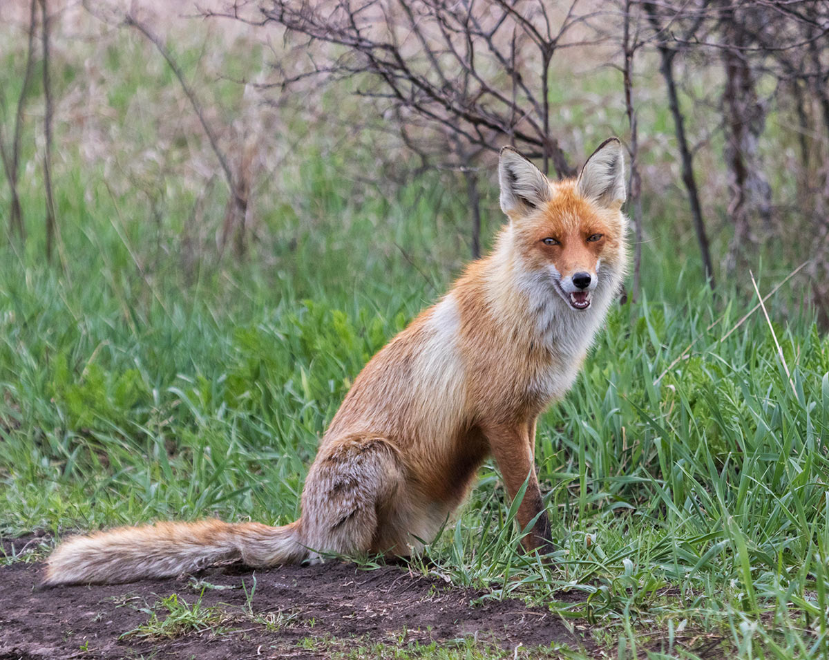Ну, ладно - давай, фотографируй...