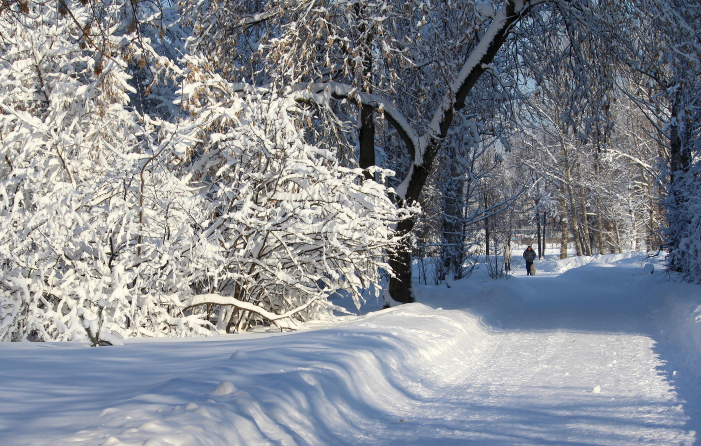 Зимний солнечный день!