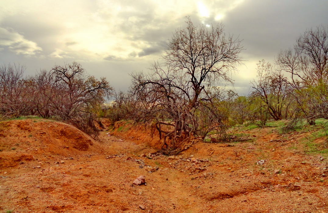 реки Туссона